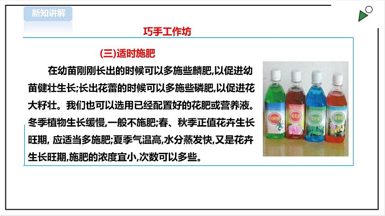 三年级全一册《劳动与技术》第四单元  活动2《盆花养护有学问》课件第8页