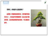 【粤教版】三年级全一册《劳动与技术》第四单元  活动3《小小盆景》教案+课件