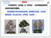 【粤教版】三年级全一册《劳动与技术》第四单元  活动3《小小盆景》教案+课件