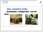【粤教版】三年级全一册《劳动与技术》第四单元  活动4《 自制有机肥料》教案+课件