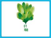 第11课烧开水 课件