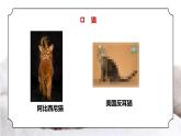 人教版三年级科学上册第一单元《身边的动物-和动物交朋友》PPT课件