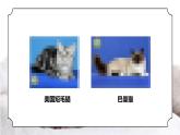 人教版三年级科学上册第一单元《身边的动物-和动物交朋友》PPT课件