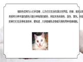 人教版三年级科学上册第一单元《身边的动物-和动物交朋友》PPT课件