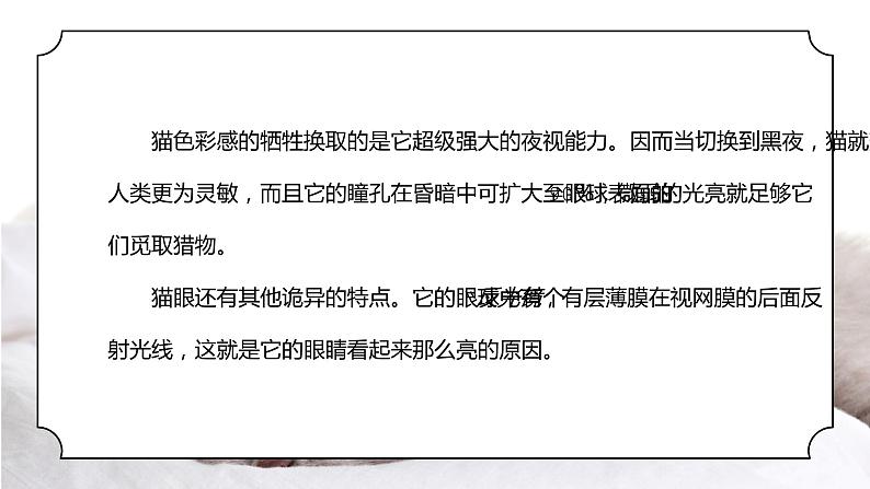 人教版三年级科学上册第一单元《身边的动物-和动物交朋友》PPT课件06