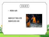 人教版三年级科学上册第一单元《身边的动物-饲养小动物》PPT课件