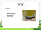 人教版三年级科学上册第一单元《身边的动物-饲养小动物》PPT课件