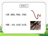 人教版三年级科学上册第一单元《身边的动物-校园里的动物》PPT课件
