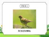 人教版三年级科学上册第一单元《身边的动物-校园里的动物》PPT课件