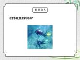 人教版三年级科学上册第一单元《水和空气很重要-离不开的空气》PPT课件