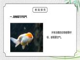 人教版三年级科学上册第一单元《水和空气很重要-离不开的空气》PPT课件