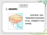 人教版三年级科学上册第一单元《水和空气很重要-离不开的空气》PPT课件