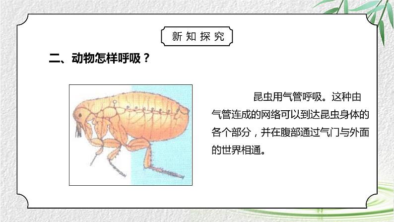 人教版三年级科学上册第一单元《水和空气很重要-离不开的空气》PPT课件04