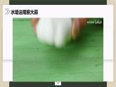 大蒜观察日记课件PPT