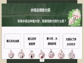 大蒜观察日记课件PPT