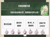 大蒜观察日记课件PPT