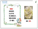 【北师大版】二年级 劳技 第10课《 豆芽种植我在行》教案+课件