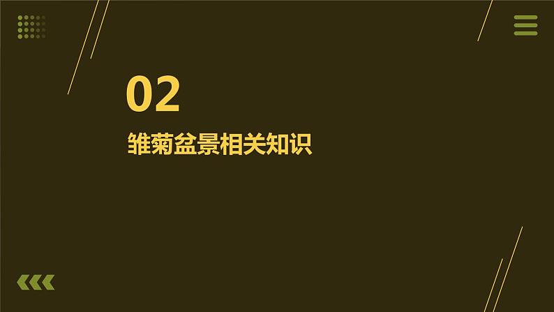 6.雏菊盆景迎重阳 小学劳动三年级上册课件07