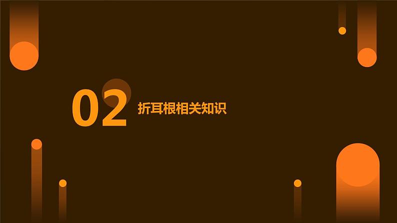 11 凉拌折耳根我会做 小学劳动三年级上册课件07