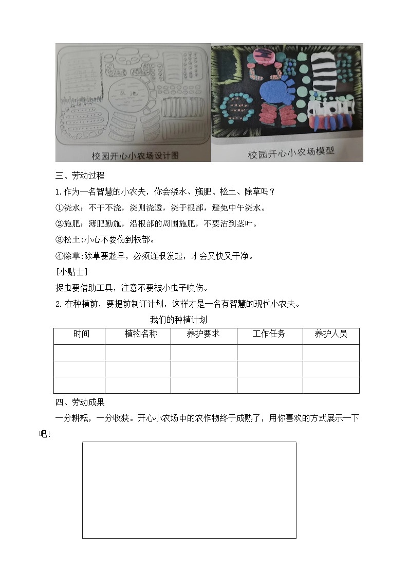 2.我爱开心小农场 教案  人教版三上劳动02