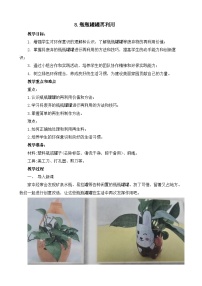 劳技三年级上册第三单元 我是小小设计师8 瓶瓶罐罐再利用优质教案