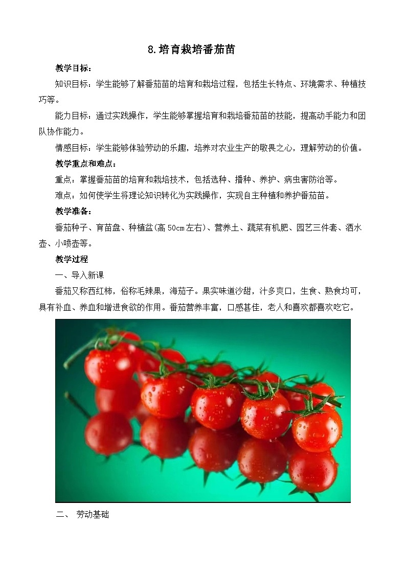 8.培育栽培番茄苗（教案）2023-2024学年小学劳动五年级上册（人教版）第1页
