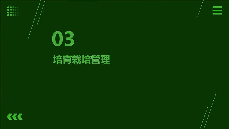 8.培育栽培番茄苗 课件  人教版五上劳技08