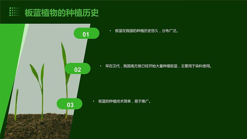 8.板蓝种植我能行 课件  人教版五上劳技05