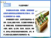【人教版】五下劳技  项目六《种多肉植物装饰教室》课件+教案+素材