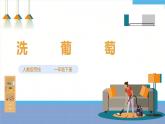 【人教版】一下劳技  项目五《洗葡萄》课件+教案+素材