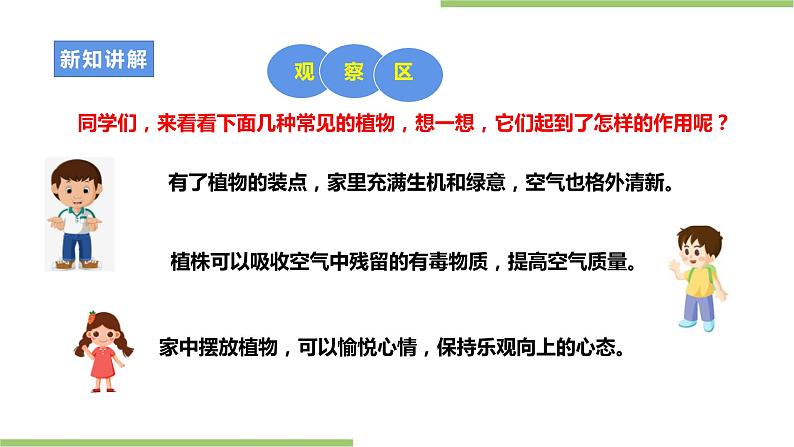 粤教版二年级全册《劳动与技术》第四单元 《 种棵小芦荟》课件第5页