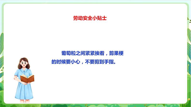 【核心素养目标】人教版劳动教育一年级下册 劳动项目五《洗葡萄》课件+教案+素材06