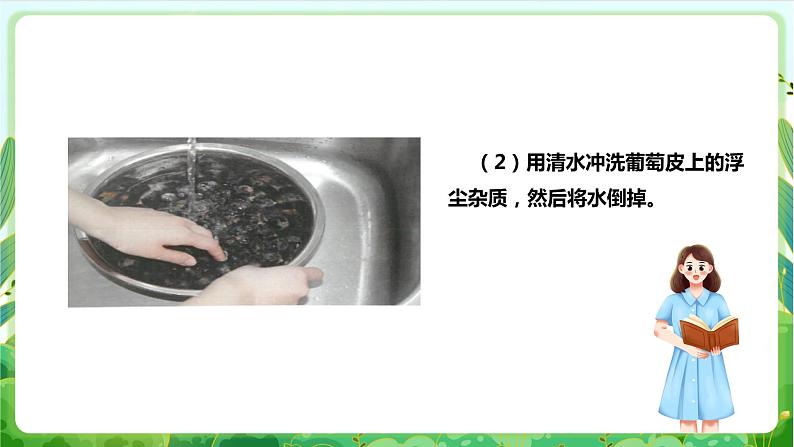 【核心素养目标】人教版劳动教育一年级下册 劳动项目五《洗葡萄》课件+教案+素材07