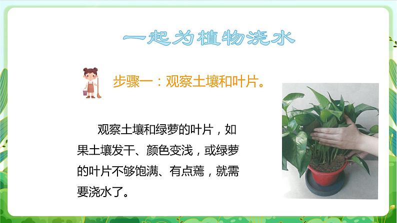 【核心素养目标】人教版劳动教育二年级下册 项目八《为植物浇水》 课件＋教案+素材05