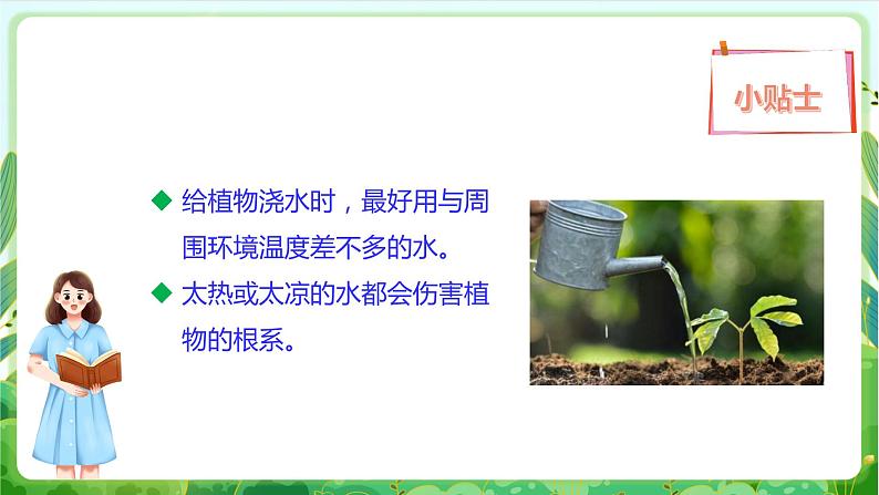 【核心素养目标】人教版劳动教育二年级下册 项目八《为植物浇水》 课件＋教案+素材06