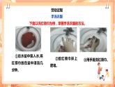北师大版《劳动实践指导手册》二年级下册 2.《我会洗衣服》课件+教案