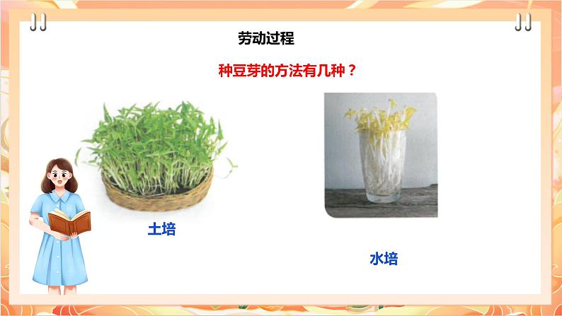 北师大版《劳动实践指导手册》二年级下册 10.《 豆芽种植我在行》课件+教案04