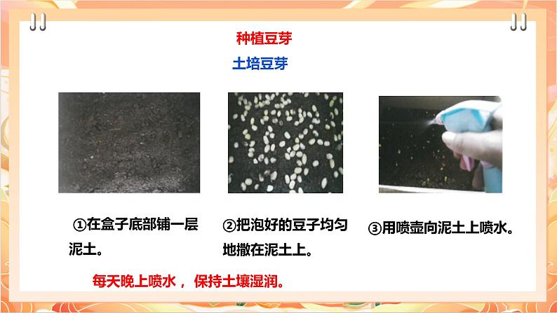 北师大版《劳动实践指导手册》二年级下册 10.《 豆芽种植我在行》课件+教案06