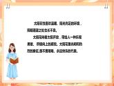 北师大版《劳动实践指导手册》二年级下册 11.《 一起来种太阳花》课件+教案