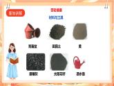 北师大版《劳动实践指导手册》二年级下册 11.《 一起来种太阳花》课件+教案