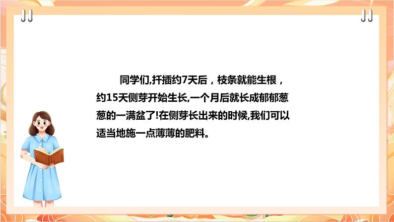 北师大版《劳动实践指导手册》二年级下册 11.《 一起来种太阳花》 课件第8页