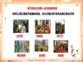北师大版《劳动实践指导手册》二年级下册 17.《 春节民俗大调查》课件+教案