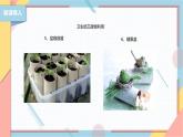 【北师大版】二年级《劳动实践指导手册》第6课《纸巾筒芯巧变身》课件