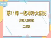 【北师大版】二年级《劳动实践指导手册》第11课《一起来种太阳花》课件