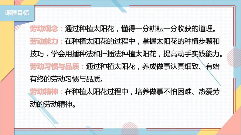 【北师大版】二年级《劳动实践指导手册》第11课《一起来种太阳花》课件02