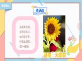 【北师大版】二年级《劳动实践指导手册》第11课《一起来种太阳花》课件