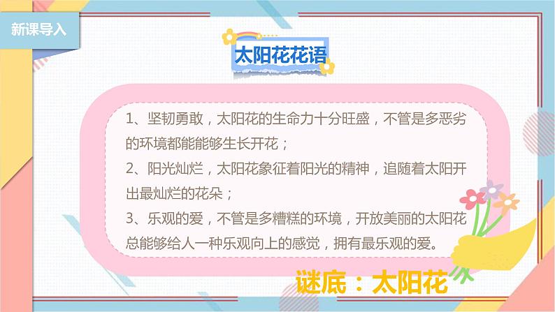 【北师大版】二年级《劳动实践指导手册》第11课《一起来种太阳花》课件04