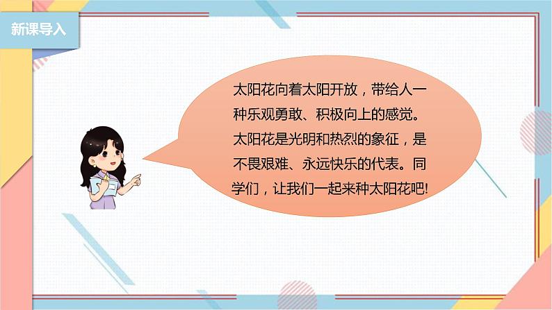 【北师大版】二年级《劳动实践指导手册》第11课《一起来种太阳花》课件05