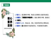 【人教版】《6年级下册 第一章 《整理行李箱》 课件