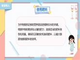 【浙教版】三下项目四任务三 管理种植园 课件